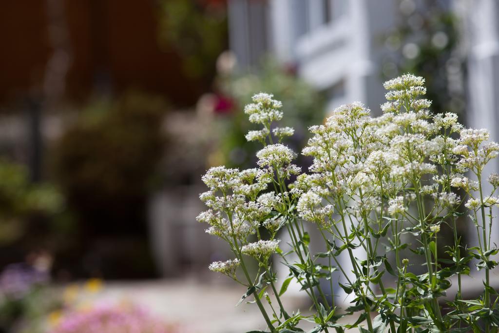 Penwinnick House B&B St Austell Εξωτερικό φωτογραφία